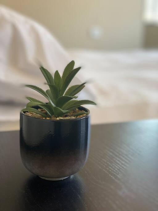 Prime Location! 1 Bedroom Apt In Tlv Beating Heart Tel Aviv Luaran gambar